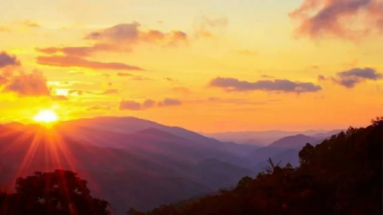 تاريخ تأسيس صحيفة الخليج الإماراتية في الشارقة على يد الشقيقين تريم عمران